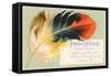 Victorian Multi-Colored Feather-null-Framed Stretched Canvas