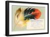 Victorian Multi-Colored Feather-null-Framed Art Print