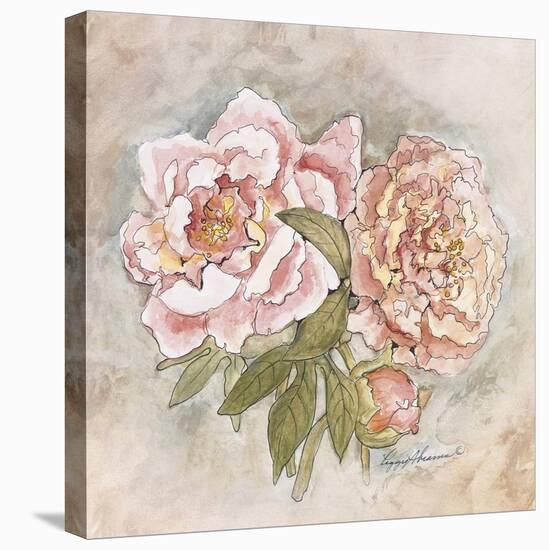 Victorian Panel-Peonies-Peggy Abrams-Stretched Canvas