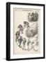 Victorian Representation of the Ascent of Man from Ape-null-Framed Art Print