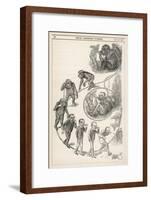 Victorian Representation of the Ascent of Man from Ape-null-Framed Art Print