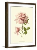 Victorian Rose I-R^ Guillot-Framed Art Print