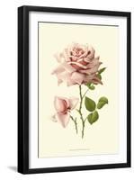 Victorian Rose I-R^ Guillot-Framed Art Print