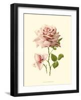 Victorian Rose I-R^ Guillot-Framed Art Print