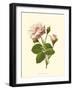 Victorian Rose II-R^ Guillot-Framed Art Print