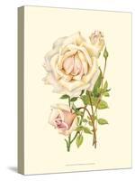 Victorian Rose III-P^ Seguin-Bertault-Stretched Canvas