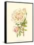Victorian Rose III-P^ Seguin-Bertault-Framed Stretched Canvas