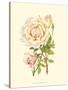 Victorian Rose III-P^ Seguin-Bertault-Stretched Canvas