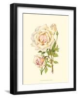 Victorian Rose III-P^ Seguin-Bertault-Framed Art Print