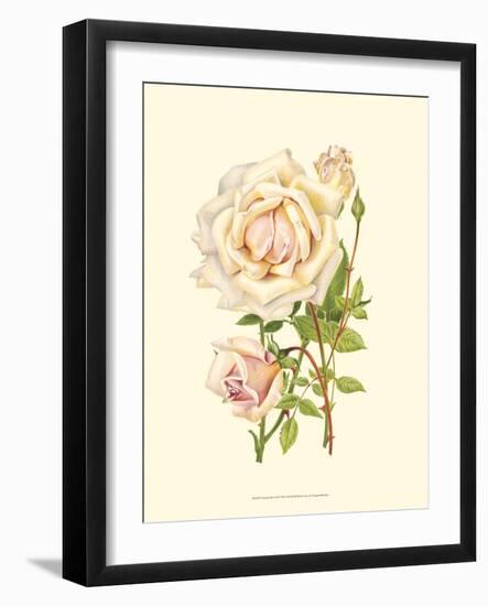 Victorian Rose III-P^ Seguin-Bertault-Framed Art Print