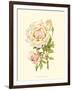 Victorian Rose III-P^ Seguin-Bertault-Framed Art Print