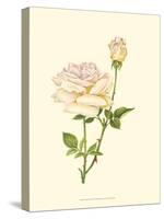 Victorian Rose IV-P^ Seguin-Bertault-Stretched Canvas