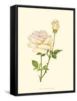 Victorian Rose IV-P^ Seguin-Bertault-Framed Stretched Canvas