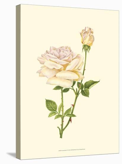 Victorian Rose IV-P^ Seguin-Bertault-Stretched Canvas