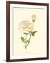 Victorian Rose IV-P^ Seguin-Bertault-Framed Art Print