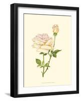 Victorian Rose IV-P^ Seguin-Bertault-Framed Art Print