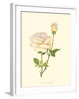 Victorian Rose IV-P^ Seguin-Bertault-Framed Art Print