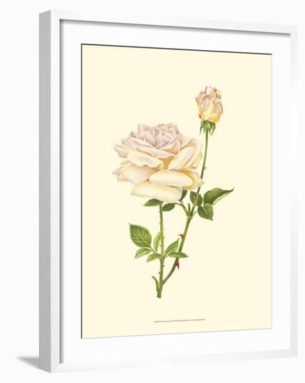 Victorian Rose IV-P^ Seguin-Bertault-Framed Art Print