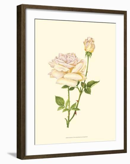 Victorian Rose IV-P^ Seguin-Bertault-Framed Art Print