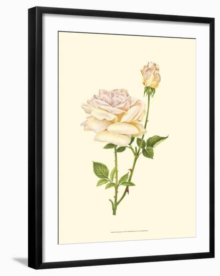 Victorian Rose IV-P^ Seguin-Bertault-Framed Art Print