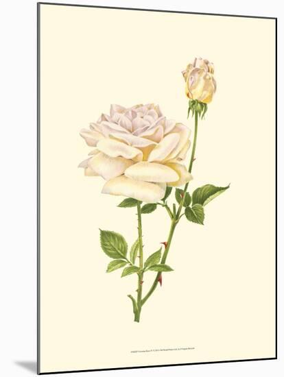 Victorian Rose IV-P^ Seguin-Bertault-Mounted Art Print