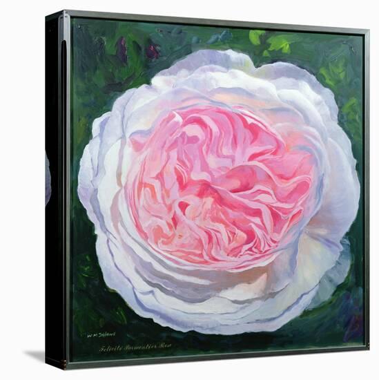 Victorian Rose-William Ireland-Stretched Canvas