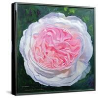 Victorian Rose-William Ireland-Stretched Canvas