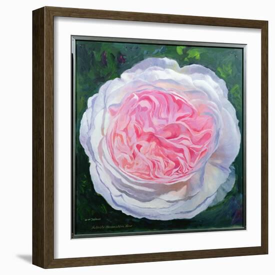 Victorian Rose-William Ireland-Framed Giclee Print