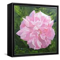 Victorian Rose-William Ireland-Framed Stretched Canvas