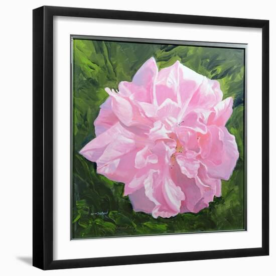 Victorian Rose-William Ireland-Framed Giclee Print