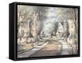 Framed Canvas