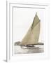 Victorian sloop on Sydney Harbour-null-Framed Art Print