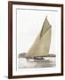 Victorian sloop on Sydney Harbour-null-Framed Art Print