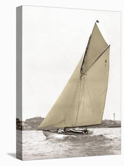 Victorian sloop on Sydney Harbour-null-Stretched Canvas