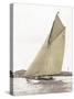 Victorian sloop on Sydney Harbour-null-Stretched Canvas