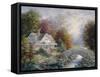 Victorian Splendor-Nicky Boehme-Framed Stretched Canvas