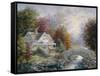 Victorian Splendor-Nicky Boehme-Framed Stretched Canvas