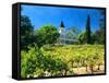 Victorian St. Clement Winery, St. Helen, Napa Valley Wine Country, California, USA-John Alves-Framed Stretched Canvas