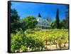 Victorian St. Clement Winery, St. Helen, Napa Valley Wine Country, California, USA-John Alves-Framed Stretched Canvas