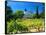 Victorian St. Clement Winery, St. Helen, Napa Valley Wine Country, California, USA-John Alves-Framed Stretched Canvas