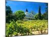 Victorian St. Clement Winery, St. Helen, Napa Valley Wine Country, California, USA-John Alves-Mounted Premium Photographic Print