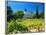 Victorian St. Clement Winery, St. Helen, Napa Valley Wine Country, California, USA-John Alves-Framed Photographic Print