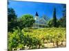 Victorian St. Clement Winery, St. Helen, Napa Valley Wine Country, California, USA-John Alves-Mounted Photographic Print