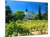 Victorian St. Clement Winery, St. Helen, Napa Valley Wine Country, California, USA-John Alves-Mounted Photographic Print