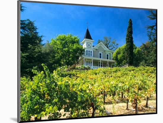 Victorian St. Clement Winery, St. Helen, Napa Valley Wine Country, California, USA-John Alves-Mounted Photographic Print