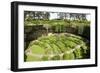 Victorian Terraced Gardens in Umpherston Sinkhole in Limestone, Mount Gambier, South Australia-Tony Waltham-Framed Photographic Print