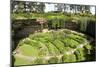 Victorian Terraced Gardens in Umpherston Sinkhole in Limestone, Mount Gambier, South Australia-Tony Waltham-Mounted Photographic Print