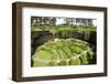 Victorian Terraced Gardens in Umpherston Sinkhole in Limestone, Mount Gambier, South Australia-Tony Waltham-Framed Photographic Print