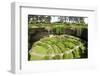 Victorian Terraced Gardens in Umpherston Sinkhole in Limestone, Mount Gambier, South Australia-Tony Waltham-Framed Photographic Print