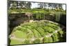 Victorian Terraced Gardens in Umpherston Sinkhole in Limestone, Mount Gambier, South Australia-Tony Waltham-Mounted Photographic Print